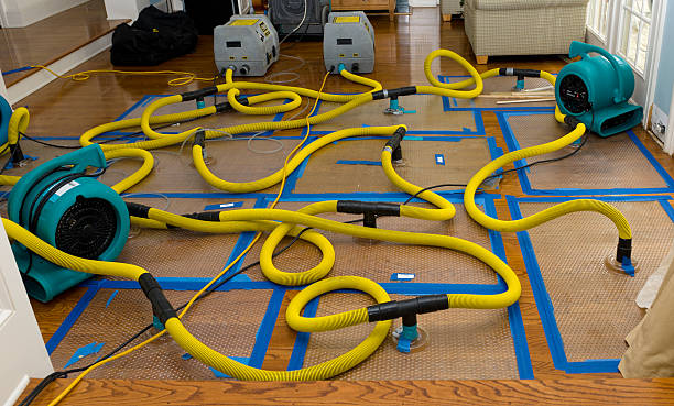Professional Water Damage Restoration technician working in Lumberton, MS